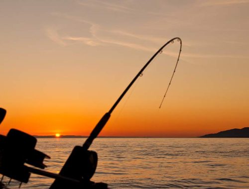 De mest populära fiskeställena i Sverige
