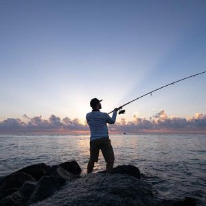De största fiskarna att fånga i Sverige